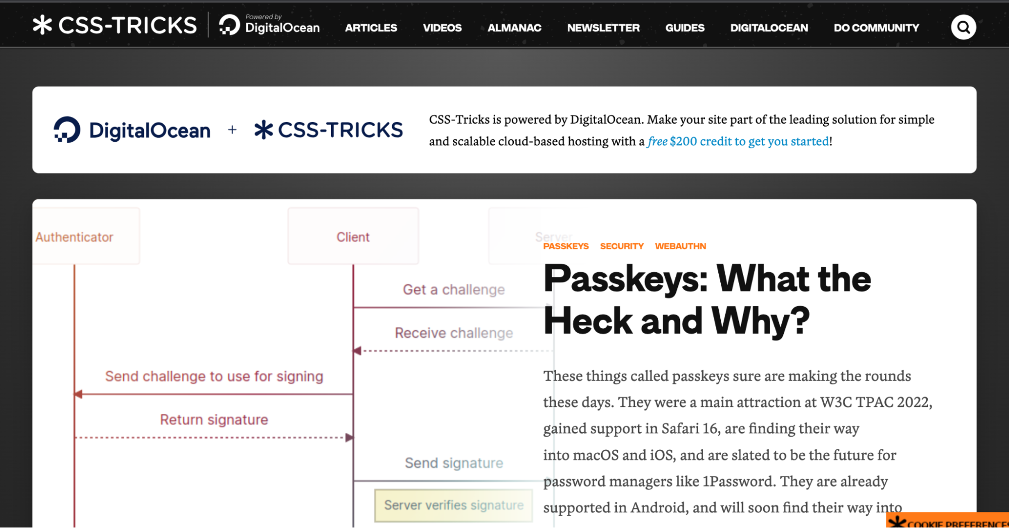  CSS-Tricks For Design & Development - Ectesso